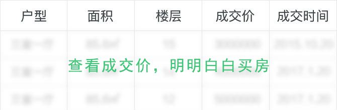 成交价格查询
